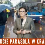 otwarcie parasola przez Ewę Kopacz – The Onion Daily